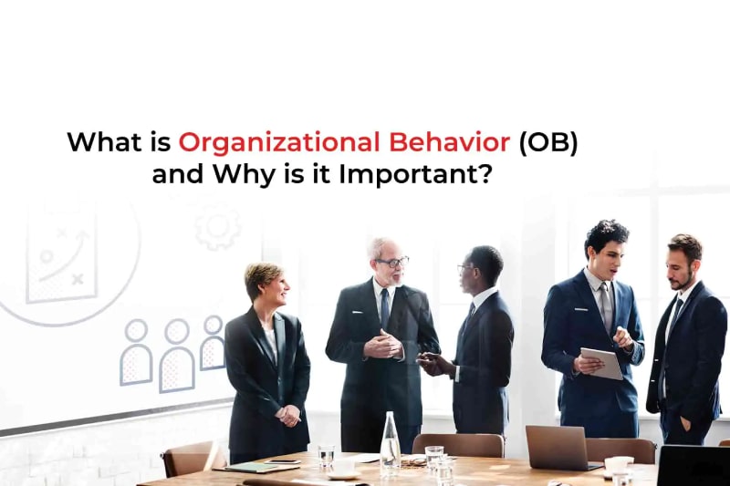 رفتار سازمانی چیست و چرا مهم است؟